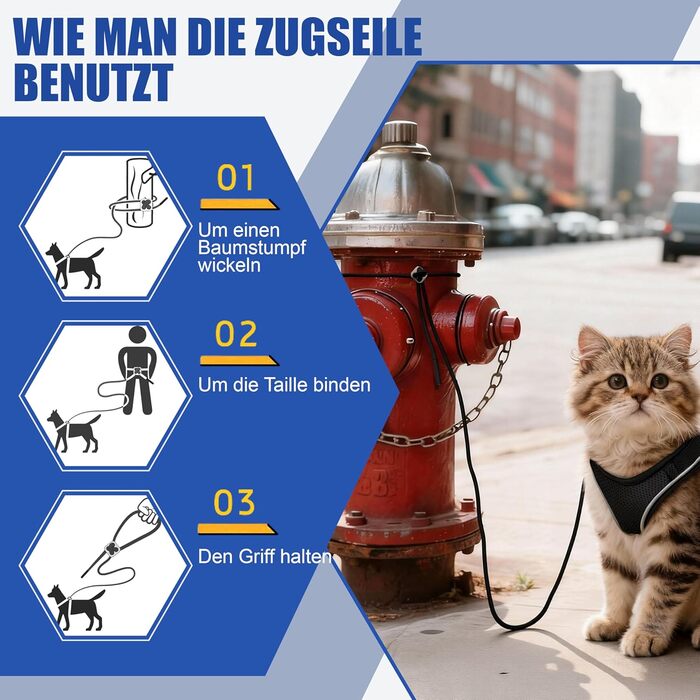 Нашийник та поводок для собак маленьких порід, регульовані, з поглинанням ривка, світловідбиваючі, для цуценят та котів, дихаюча м'яка сітчаста куртка для прогулянок, бігу, тренувань (Бордовий S) S (Обіх: 28-37см, Груди: 39-47см) (Чорний, XXS (Обіх: 24-31