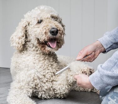 Набір для догляду за шерстю собак та цуценят Mikki: гребінець зі сталі та щітка Slicker з жорстким ворсом. Підходить для порід: пуделів, кокапу, лабрадуділів, кавапу, мальтипу та голден дуділів.