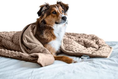 Важка заспокійлива ковдра для собак Nappy Puppy L, м'який Minky, гіпоалергенні скляні кульки, для тривожних собак, коричнева, 2,7 кг