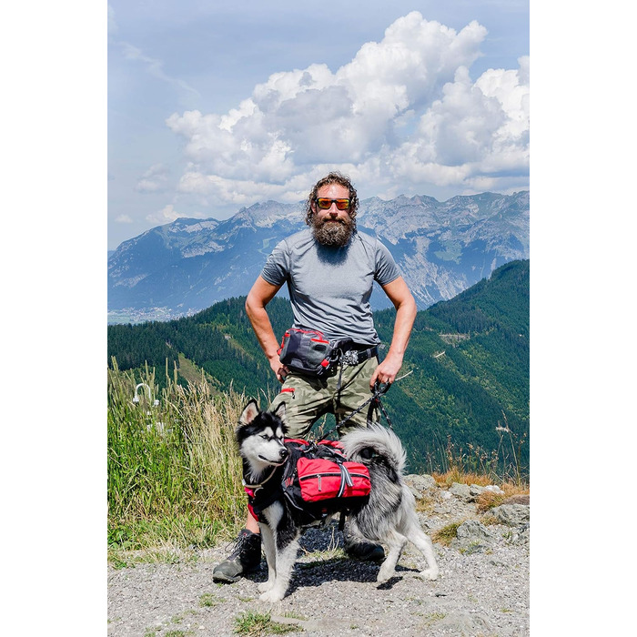 iEnergy™ MAL Hunderucksack - Водонепроникний рюкзак для собак – Якісний туристичний рюкзак (Малий) (L)