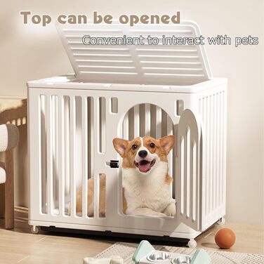 Клітка для собак Neonman - переноска для цуценят та середніх собак, зелена, розмір M