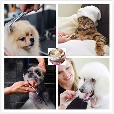 Набір професійних ножиць для собак 6.7 дюймів, рожевий. Ножиці для грумінгу, моделювання та стрижки шерсті собак та котів