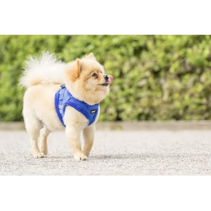 М'який нашийник для собак CHIARA MIA, розмір XL, чорний. Водовідштовхуючий, з регулюванням на липучці, світловідбиваючі смуги.