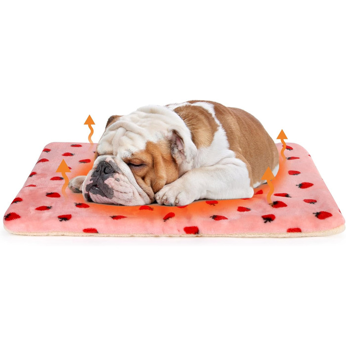 М'який лежак для собак та котів середнього розміру, 80x60 см, знімний, миючий, сірий/з полуничками