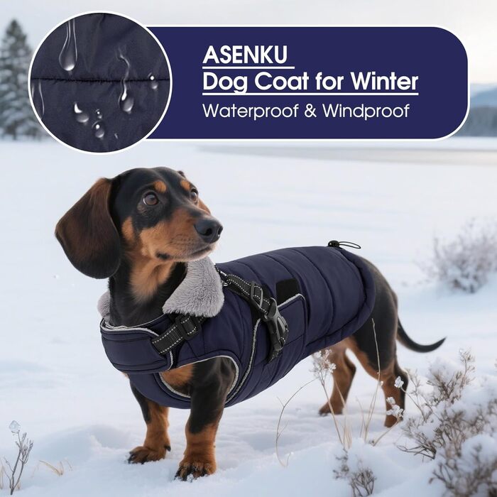 Зимовий одяг для собак ASENKU: теплий, водонепроникний, вітрозахисний, з світловідбиваючими елементами. Підходить для малих, середніх та великих собак. Кольори: зелений (S), синій (S).