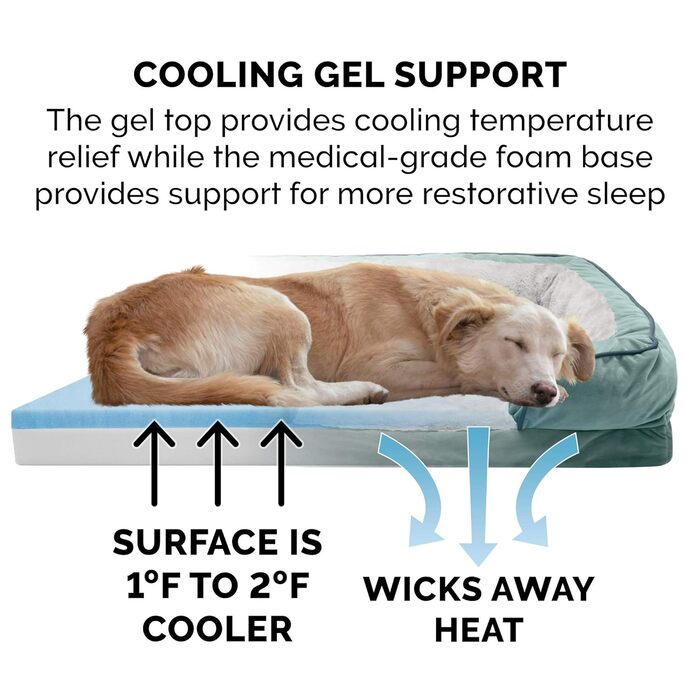 Охолоджуване ліжко для собак Furhaven з гелевим наповнювачем, середнього та малого розміру, з знімними валиками для шиї та знімним чохлом, для собак до 15,9 кг – плюшеві та оксамитові хвилі, ідеальне комфортне ліжко-софа, колір Селадоновий, розмір L 76 x 
