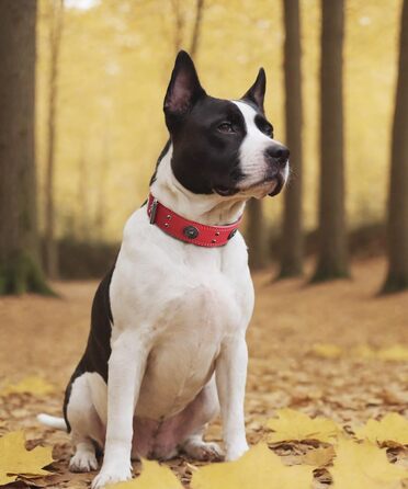 Стильний шкіряний нашийник для собак, ручної роботи, 5 см, червоний, розмір 38-49 см