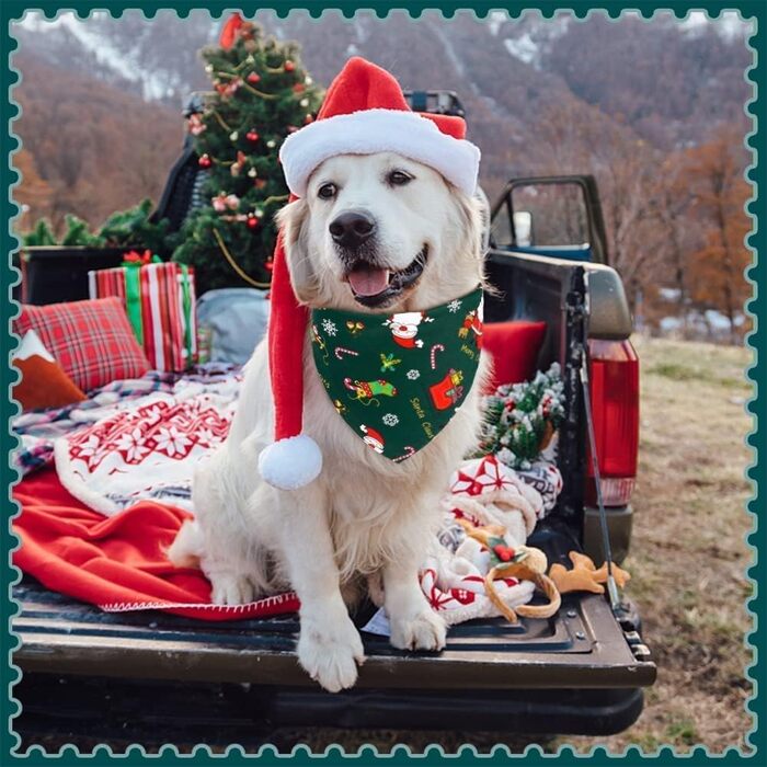 Набір з 2 шт. великих трикутних нашийників та шарфів для тварин - Різдво, собаки, коти, подорожі