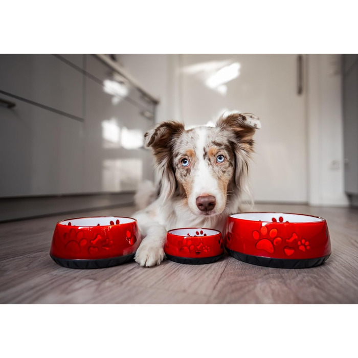 Миска для собак Elropet: маленькі та великі породи, миска для корму та води, нековзна, S 330 мл, червона