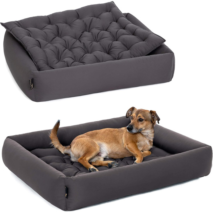 Ортопедичне ліжко для собак середніх порід - ліжко з знімним матрацом, прання до 95°C, сушка в сушильній машині, стійке до подряпин та укусів, Made in Germany (L - 80x70 см, Антрацит)