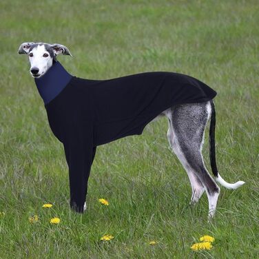 Пуловер з високим коміром для грейхаундів та віндхундів, теплий одяг для собак, зимовий пуловер для маленьких цуценят та грейхаундів, чорний (M)