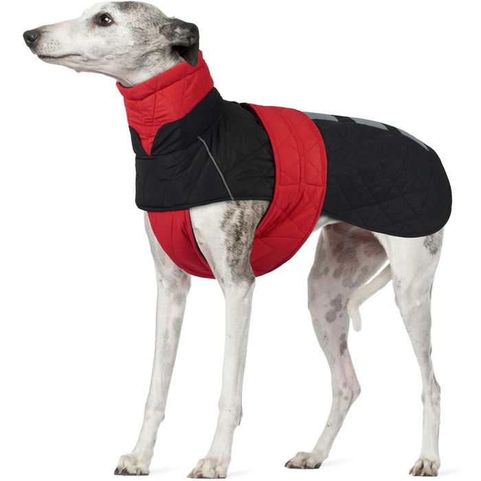 Зимовий теплий дощовик для собак Віндхунд (Whippet) - червоний, з відбиваючими смугами