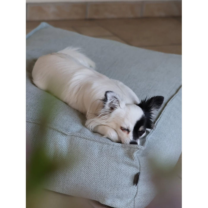 Ортопедичне ліжко для собак Flamingo Baldar – прямокутне, бежеве, 80 см. Комфортне місце для сну з подушкою Baldar, 80x60x18 см