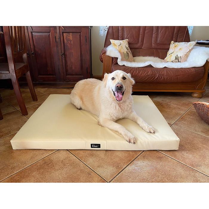 Килимок для собак Tina Grosse - лежанка для собак середнього та малого розміру. Лежанка для собак з еко-шкіри, миється, водонепроникна, м'яка, довговічна, стійка до зношування та розривів (XL, 100x80x8 см, Ecru)