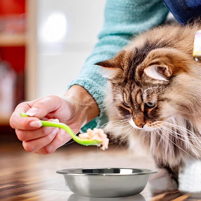 Набір мисок для котів зі сталі, 18 см, 4 шт. Підвищені миски для корму, для кошенят та дорослих котів, зручні для чутливих вусів
