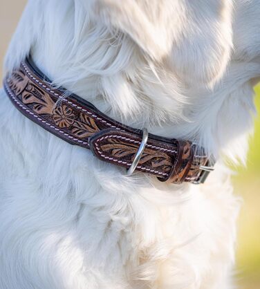 Нашийник для собак Джек Рассел з натуральної шкіри буйвола, регульований, з м'якою підкладкою, ручної роботи, з різьбленням, Alexey (S, 26-34 см)