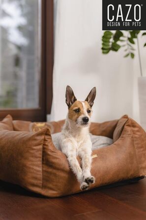 CAZO Преміум ліжко для собак та котів з пуховою наповнювачем, сіре, діаметр 70 см, розмір M, LPMG0204/A