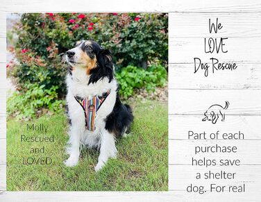 Шлейка для собак Lucky Love Dog No Pull, регульована, легка, чорна та лілова з квітковим візерунком, для малих, середніх і великих собак (M, модель Primrose)