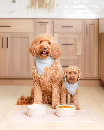 Килимок для годування собак та котів Remy+Roo | Силіконовий, 100% водонепроникний, неслизький, для миття в посудомийній машині