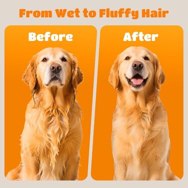 Професійний фен для грумінгу домашніх тварин Nobleza Pet Blower - 4 насадки, регулювання швидкості/тепла, тихий