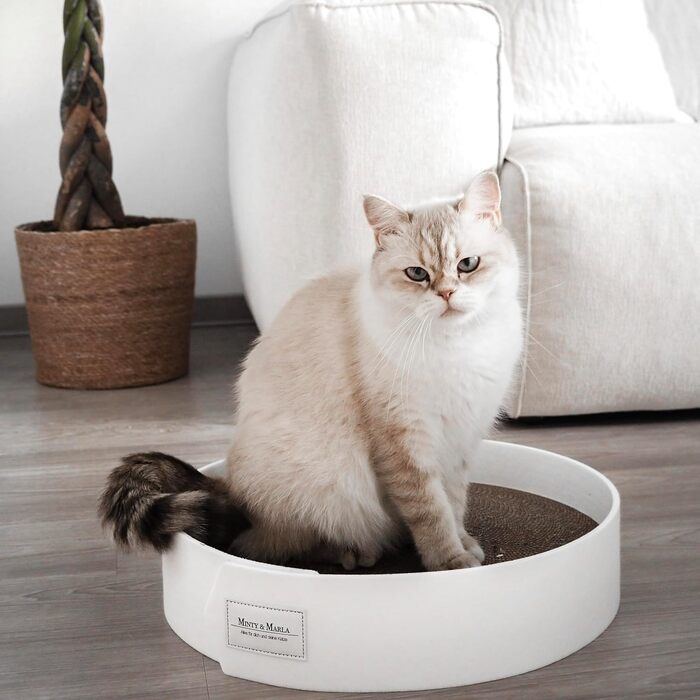 Котяче дряпальний борд Minty&Marla® з котячою м'ятою | Дряпальний борд для котів | Котяче ліжко-дряпалка | Білий