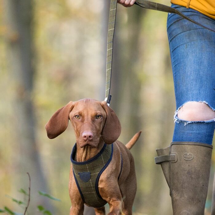 Повідок для собак HUGO & HUDSON, твідовий, тренувальний, темно-зелена клітинка, 1,2 м x 2,5 см