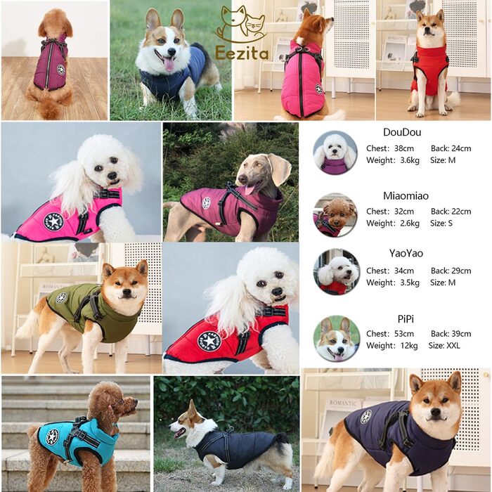 Водонепроникний жилет для собак на осінь/зиму, для цуценят та середніх порід, відбиваючий, з кріпленням для повірця, блакитний