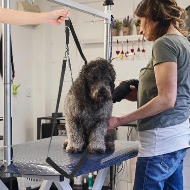 Регульований поводок та пояс для грумінгу собак Alasum для маленьких та середніх порід, безпечні ремені для миття та стрижки, ергономічна собача петля для контрольованого грумінгу