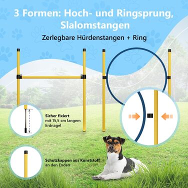 Набір для аджиліті для собак Huskl Agility Set: тунель, стійки, кільце, коробка для відпочинку. Аксесуари для аджиліті та тренувань собак.