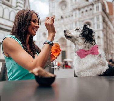 Елегантний собачий нашийник Dogwong з бантиком, білий. Зручний, регульований нашийник для собак маленьких та середніх порід. Ідеальний подарунок для дівчаток та хлопчиків. У комплекті 1 шт.