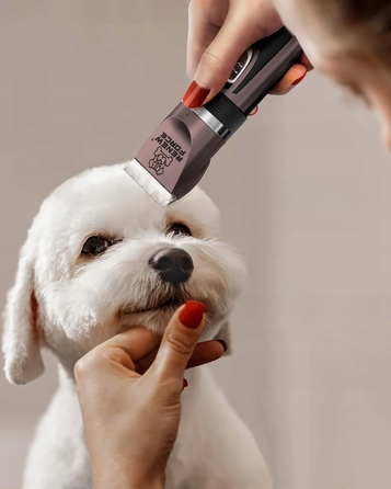 Професійна потужна та тиха машинка для стрижки собак, котів та інших домашніх тварин