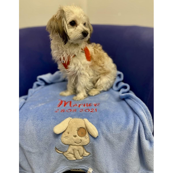Дитяча ковдра для собак з іменем, вишивка, аплікації, блакитний колір, 2 рядки