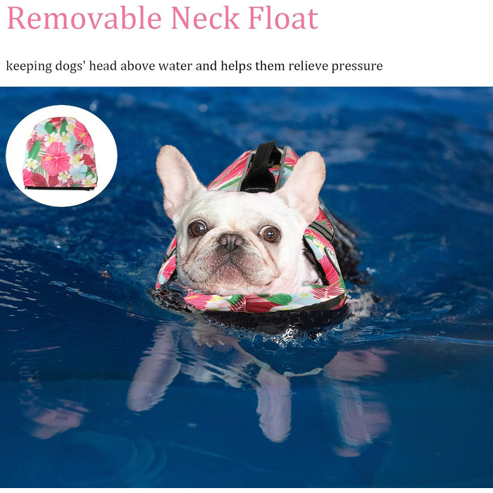 Жилет для собак Французький бульдог з світловідбиваючими смугами, плаваючий жилет для собак, для купання та катання на човні (обхват грудей: 43.2 - 76.2 см, вага: 7.7 - 12.7 кг) M (обхват грудей: 43.2 - 76.2 см)