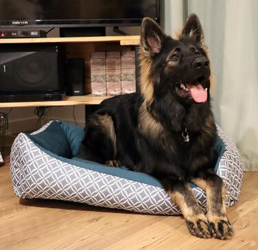 4L Textil OTTO: Лежанка для собак, корзина для собак, м'яке ліжко для собак, лежанка-софа, колір - блакитний (100x80 см)