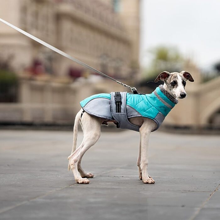 Тепла водонепроникна жилетка для собак з коміром, м'яка та зручна, зелена, розмір M