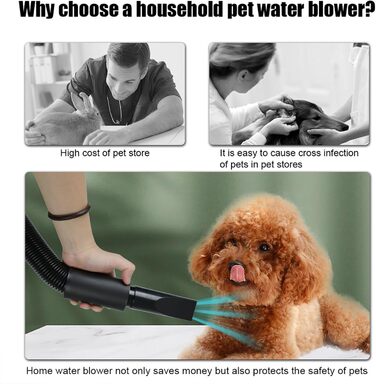 Професійний фен для собак 2800W, регульована швидкість та тепло, 4 насадки, синій