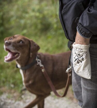 Преміум шкіряний нашийник для собак Jack Russell Lilly - нашийник з натуральної шкіри телятини, нашийник для собак, шкіряний (XXL, Коричневий/Чорний) XXL - обхват шиї 49,0-60,5 см Коричневий/Чорний