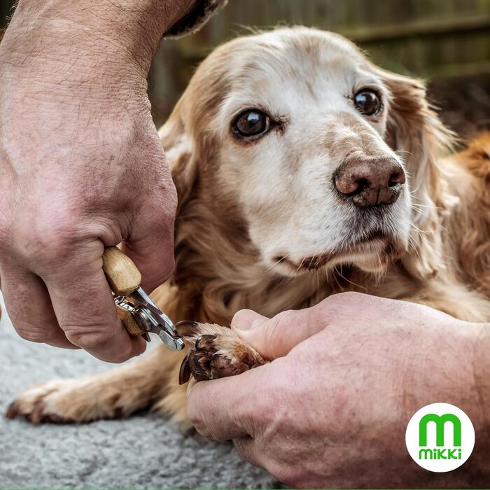 Ножиці для грумінгу собак та котів Mikki бамбукові з безпечним стопором, мікрозубчасті