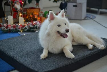 Ліжко для собак і котів RAIKOU, ортопедичне, знімний плюшевий матрац, анатомічна подушка, чорний меланж, 100x80x9 см, антиковзке, пране