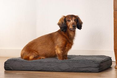 Ортопедичне ліжко для собак Beeztees Zira, темно-сірий, 75x50x9 см