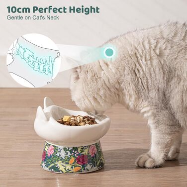 Котло propositions для котів TIGOADT: керамічна миска з підставкою, широка та нахилена, проти блювоти, для кошенят та літніх котів (блакитно-білий візерунок, квітковий візерунок)
