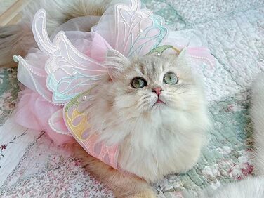 Сукня для собак 