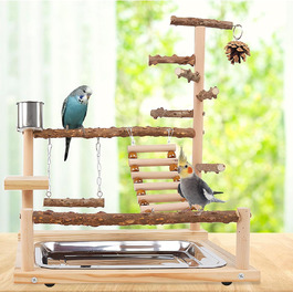 Ігровий майданчик для птахів з годівницями та підставкою, тренажер для папуг, колібрі, хвилястих поніків, ара