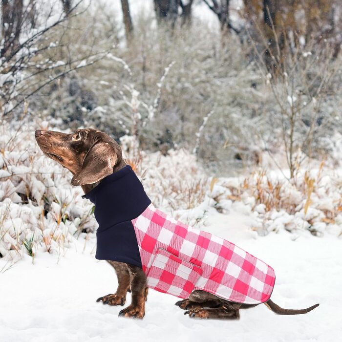Зимовий нашийник для собак Dachshund від Geyecete, водонепроникний, з отвором для повідка, теплий, для маленьких собак, рожевий в клітинку (XS)