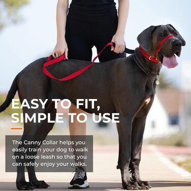 Canny Collar нашийник-головний шлея для великих собак, анти-натяжний, чорний, розмір 5, обхват шиї 43-48 см, з м’якою підкладкою