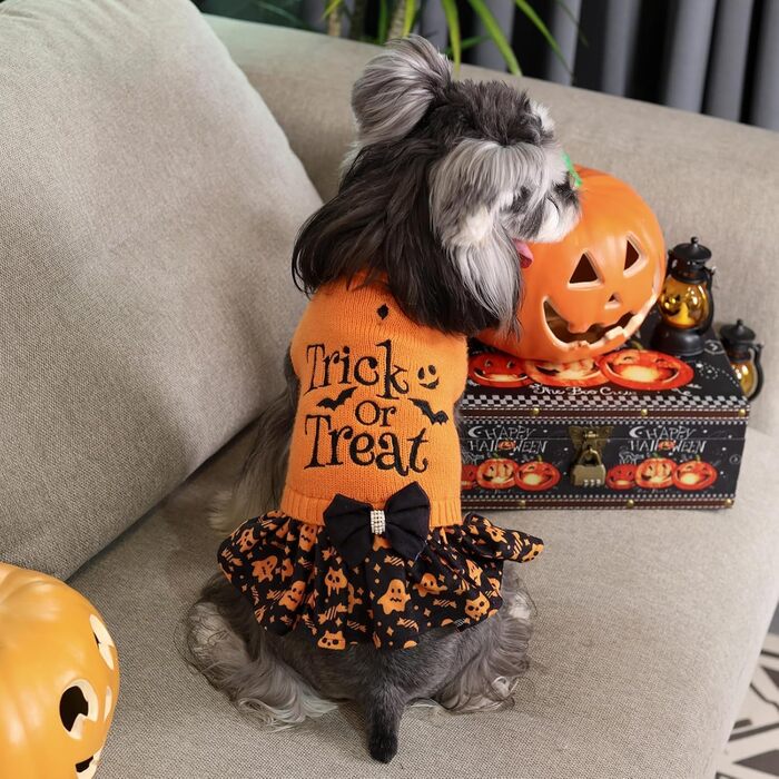 Пуловер для собак CuteBone на Halloween для середніх собак, дівчаток, з вишивкою 