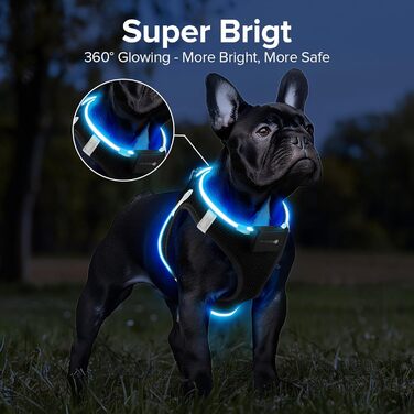 Світловідбиваючий нашийник для собак з LED-підсвічуванням PcEoTllar, перезаряджається, дихаючий, для маленьких та середніх собак, зелений (3 режими) (S, чорний (9 режимів))