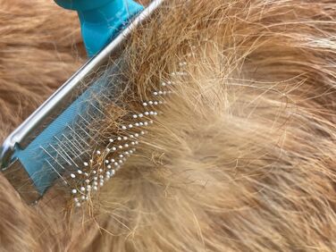 Щітка для собак Mastercip, велика порода, розмір Medium