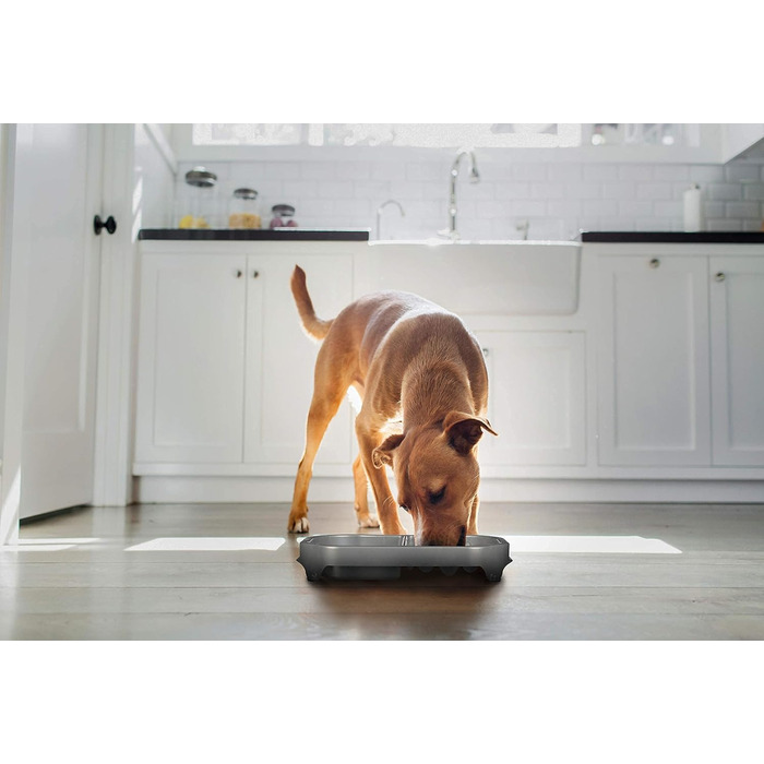 Neater Pet Brands Антиковзна миска для собак, уповільнює поїдання, подвійний рівень, ваніль, проти здуття живота