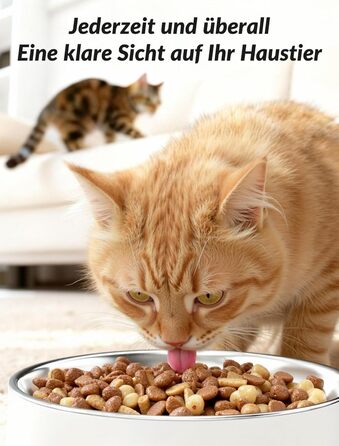 Автомат годування котів з камерою, розумний автомат для котів, 5л, 1–6 прийомів їжі для котів та тварин середніх розмірів з відео